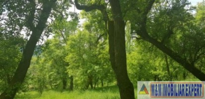 teren-2900-mp-intravilan-de-vanzare-in-boteni-arges-ideal-pentru-constructii-rezidentiale-3