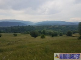 teren-4900-mp-intra-extravilan-campulung-muscel-cretisoara-arges-4