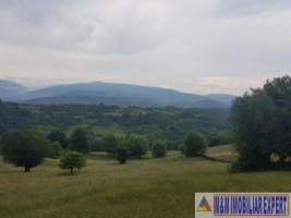 teren-4900-mp-intra-extravilan-campulung-muscel-cretisoara-arges-5