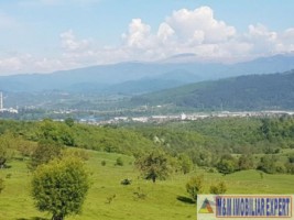 teren-4900-mp-intra-extravilan-campulung-muscel-cretisoara-arges-6