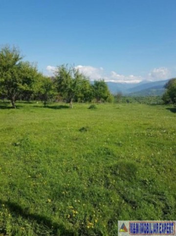 teren-4900-mp-intra-extravilan-campulung-muscel-cretisoara-arges-7