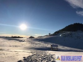 teren-3000-mp-intravilan-de-vanzare-in-fundata-brasov-ideal-pentru-constructii-rezidentiale-1