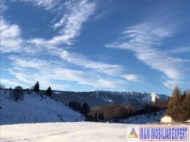 teren-3000-mp-intravilan-de-vanzare-in-fundata-brasov-ideal-pentru-constructii-rezidentiale-2