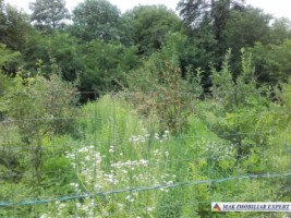 teren-500-m-intravilan-cetateni-arges-2