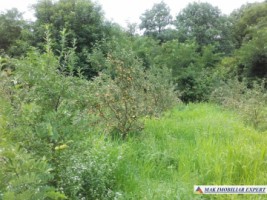teren-500-m-intravilan-cetateni-arges-4