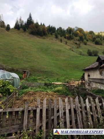 teren-5800-mp-intraextravilan-de-vanzare-in-dambovicioara-arges-potrivit-pentru-proiecte-rezidentiale-si-turistice-3