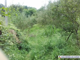 teren-750-mp-intravilan-cu-constructie-cetateni-arges-4