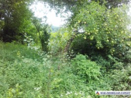 teren-750-mp-intravilan-cu-constructie-cetateni-arges-3