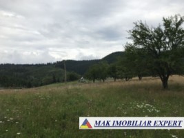 teren-4850-mp-intravilan-fundata-fundatica-brasov-6