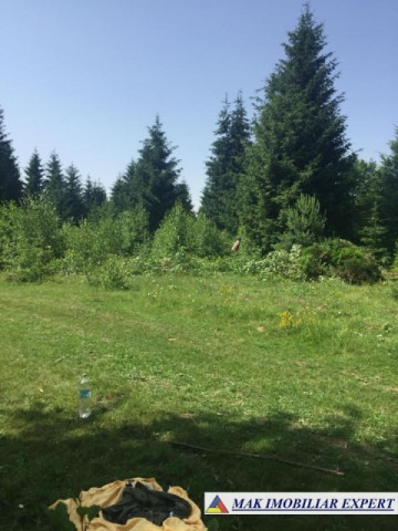 teren-extravilan-5000-mp-de-vanzare-in-bughea-de-sus-bughita-arges-ideala-pentru-locuinta-de-familie-sau-pensiune-1