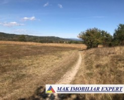 teren-extravilan-78-ha-moraresti-arges-ideal-pentru-agricultura-2