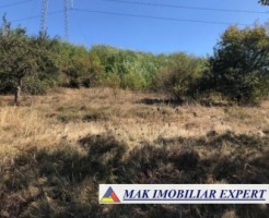 teren-extravilan-78-ha-moraresti-arges-ideal-pentru-agricultura-3