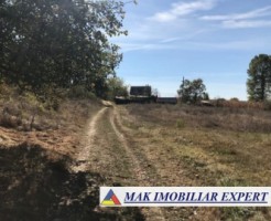 teren-extravilan-78-ha-moraresti-arges-ideal-pentru-agricultura-5