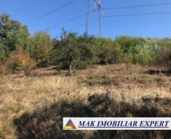 teren-extravilan-78-ha-moraresti-arges-ideal-pentru-agricultura-4
