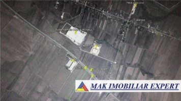 teren-extravilan-65-ha-aproape-de-autostrada-a1-km-103-oarja-arges-ideal-pentru-agricultura-si-investitii-1