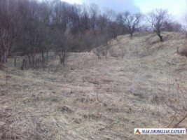 teren-7125-mp-intraextravilan-de-vanzare-in-marcus-campulung-muscel-arges-ideal-pentru-proiecte-rezidentiale-si-agricole-1
