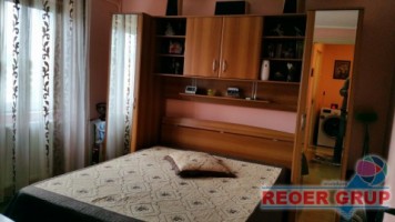 nord-cameliei-cubulet-dec-44-gftiz-mobilat-35000-euro-8