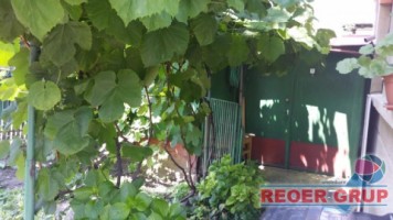 mbravu-zona-casa-3-cam-teren-157mp-la-55000-euro-10