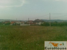 teren-de-vanzare-micesti-zona-apuseni-2