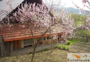 casa-2-camere-la-30-de-km-de-alba-iulia-3