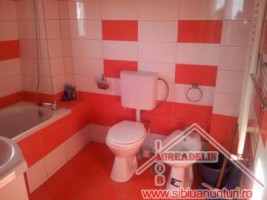 inchiriem-apartament-la-mansarda-valea-aurie-1