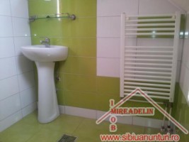 inchiriem-apartament-la-mansarda-valea-aurie-7