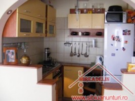 vindem-apartament-la-mansarda-2-nivele-terezian-2