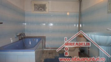 inchiriem-casa-dpem-singur-in-curte-zona-calea-dumbravii-13