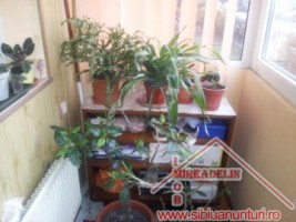 oferta-apartament-3-camere-zona-mihai-viteazu-3