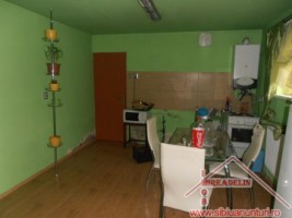 vand-casa-saseasca-singur-in-curte-turnisor-1