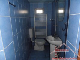 vand-casa-saseasca-singur-in-curte-turnisor-3
