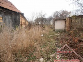vand-casa-saseasca-singur-in-curte-turnisor-4