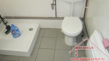 inchiriez-spatiu-comercial-zona-turnisor-6