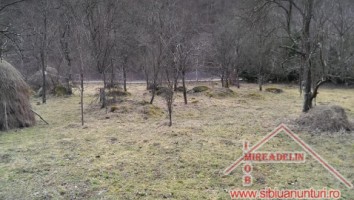 vand-urgent-teren-intravilan-3500-mp-pe-valea-lotrioarei-1