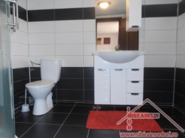 inchiriez-apartament-la-vila-2-camere-zona-calea-dumbravii-3