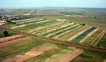 ferma-agricola-zona-dobarceni