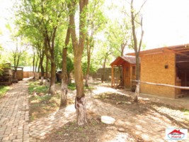 casa-cu-teren-20-ari-in-petin-id-21455-1