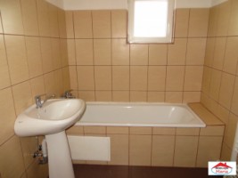 casa-cu-teren-20-ari-in-petin-id-21455-4