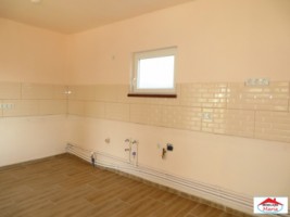 casa-cu-teren-20-ari-in-petin-id-21455-6
