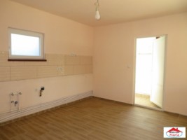 casa-cu-teren-20-ari-in-petin-id-21455-5