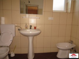 casa-cu-teren-20-ari-in-petin-id-21455-11