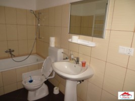 casa-cu-teren-20-ari-in-petin-id-21455-10