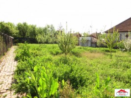 casa-cu-teren-20-ari-in-petin-id-21455-12