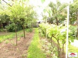 casa-cu-teren-zona-closca-id-21458-7