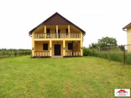 apa-casa-cu-iesire-la-lac-1