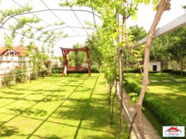 casa-in-paulesti-subsol-parter-si-mansarda-id-21466-8