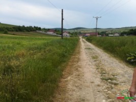 teren-intravilan-de-vanzare-in-satul-hamba-sibiu-3