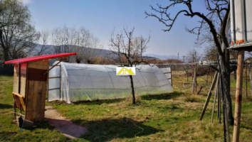 casa-cu-gradina-micesti-alba-2