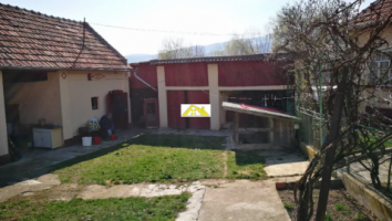 casa-cu-gradina-micesti-alba-4