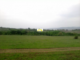teren